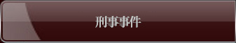 刑事事件