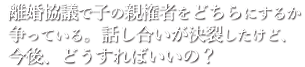 離婚協議で子の親権者をどちらにするか争っている。話し合いが決裂したけど、今後、どうすればいいの？