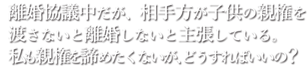 離婚協議中だが、相手方が子供の親権を渡さないと離婚しないと主張している。私も親権を諦めたくないが、どうすればいいの？