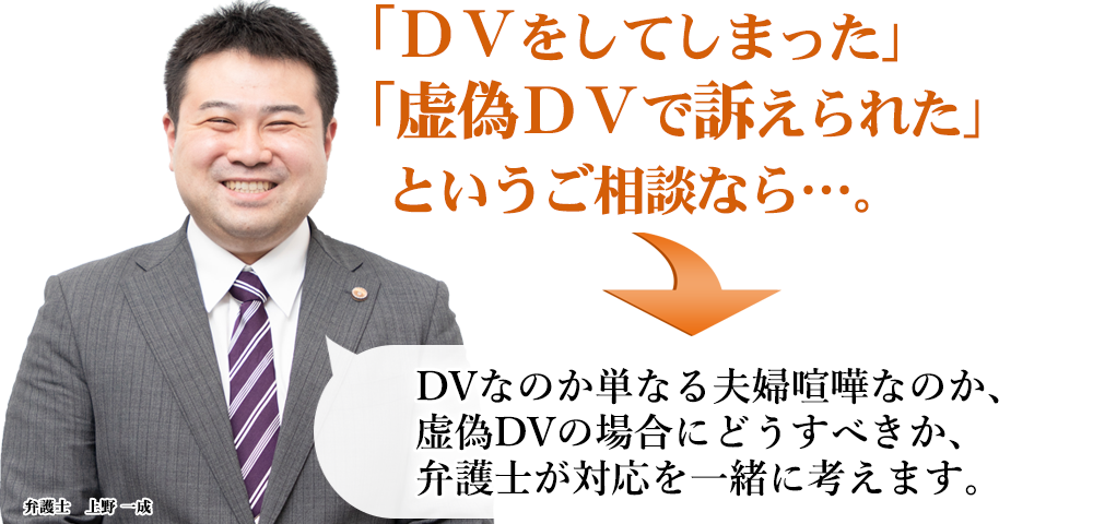 DVを訴えられた方｜離婚のプロが教えます！