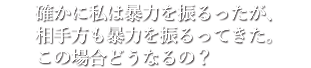 確かに私は暴力を振るったが、相手方も暴力を振るってきた。この場合どうなるの？