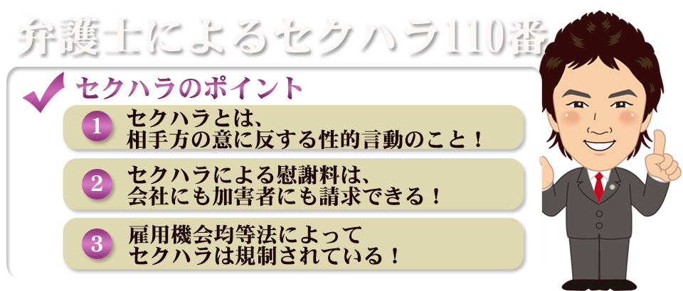 弁護士によるセクハラ110番